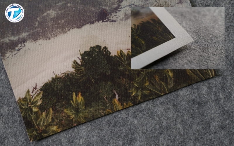 Canvas trong nhà mặt mờ 